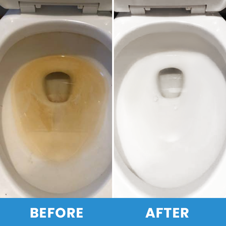 LIMETOW® Disposable Toilet Brush