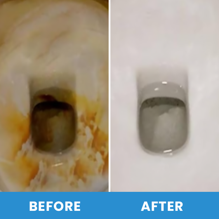 LIMETOW® Disposable Toilet Brush