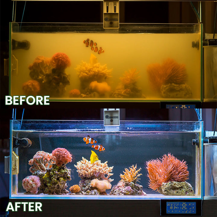 LIMETOW® Powerful Aquarium Water Purification Tablet