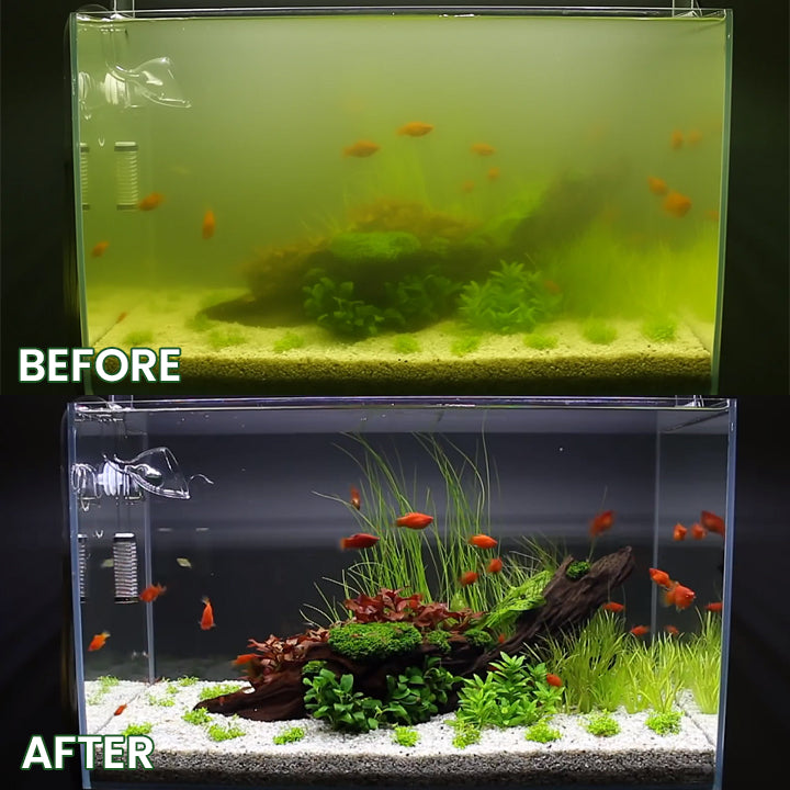 LIMETOW® Powerful Aquarium Water Purification Tablet
