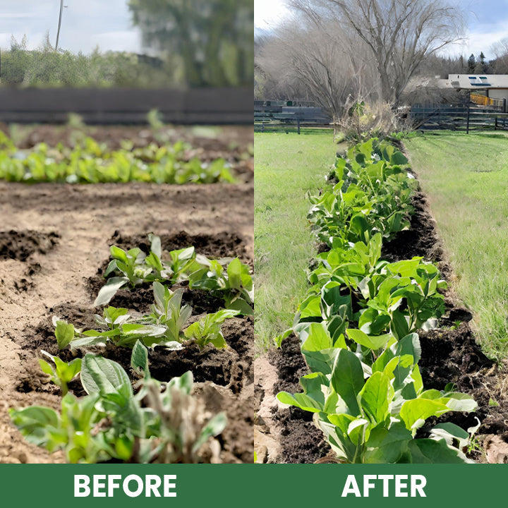 LIMETOW® Plant Resurrection Liquid