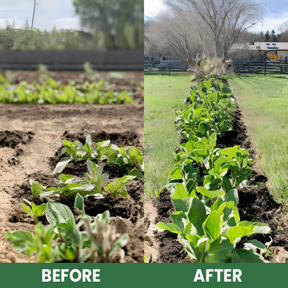 LIMETOW® Plant Resurrection Liquid