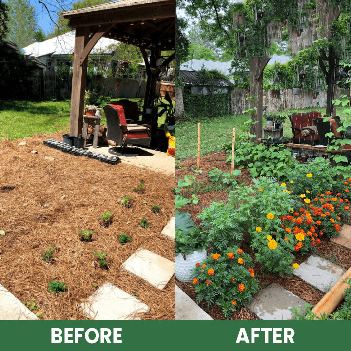 LIMETOW® Plant Resurrection Liquid