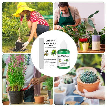 LIMETOW® Plant Resurrection Liquid
